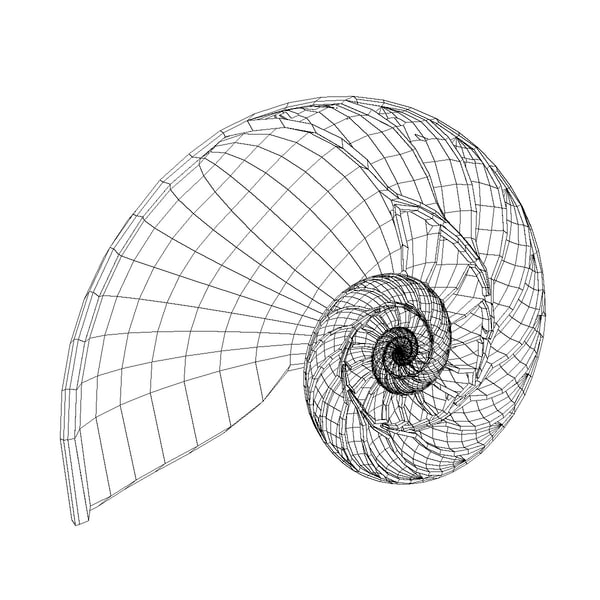 3d nautilus shell cut - Nautilus shell cut... by legendar1